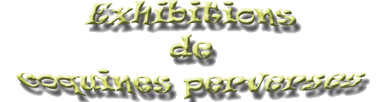 Exhibitions de coquines perverses